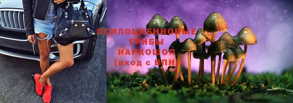 PSILOCYBIN Богородицк